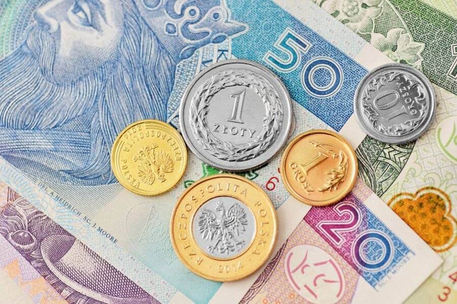 Banknoty i monety waluty polskiej