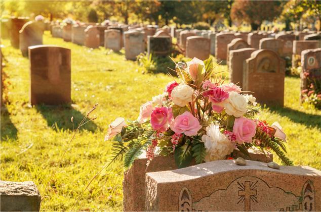 Kwiaty na nagrobku na cmentarzu